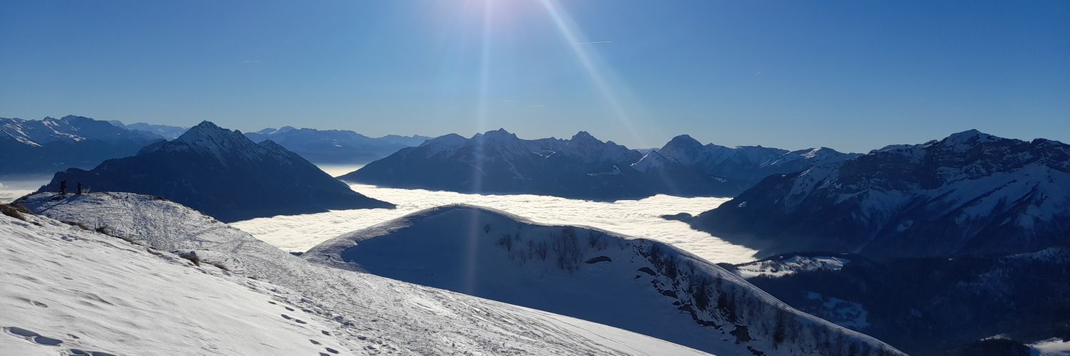 Arvilayaute's profile banner image