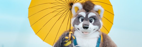 PRS_Raccoon Profile Banner