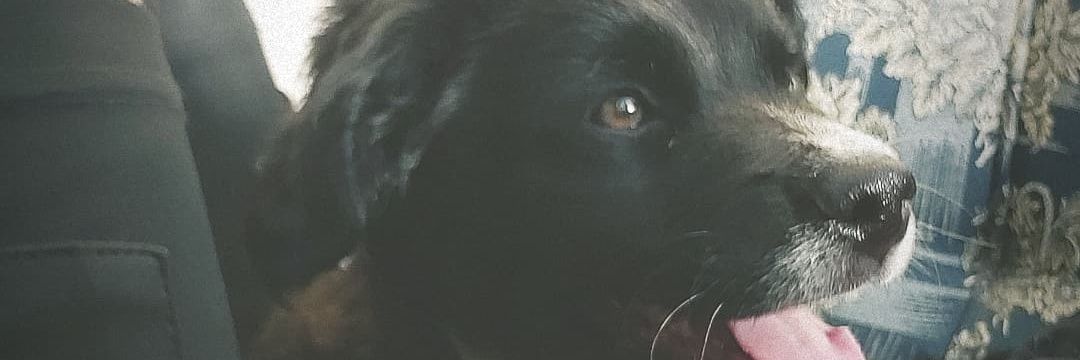 ImTheOneForMe's profile banner image