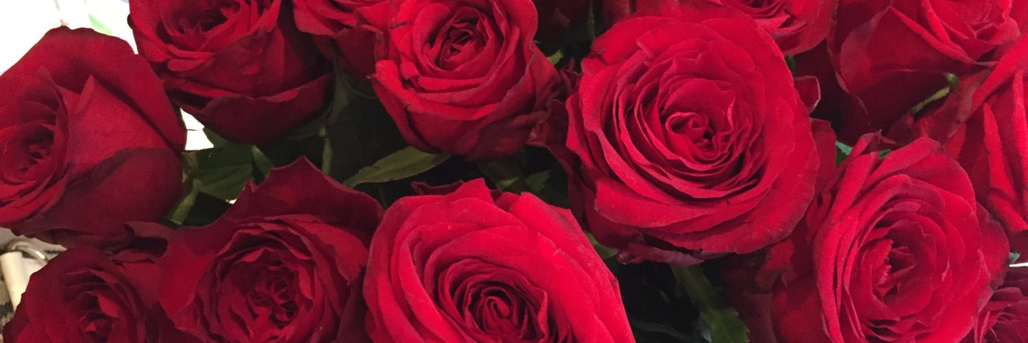 megnish_'s profile banner image