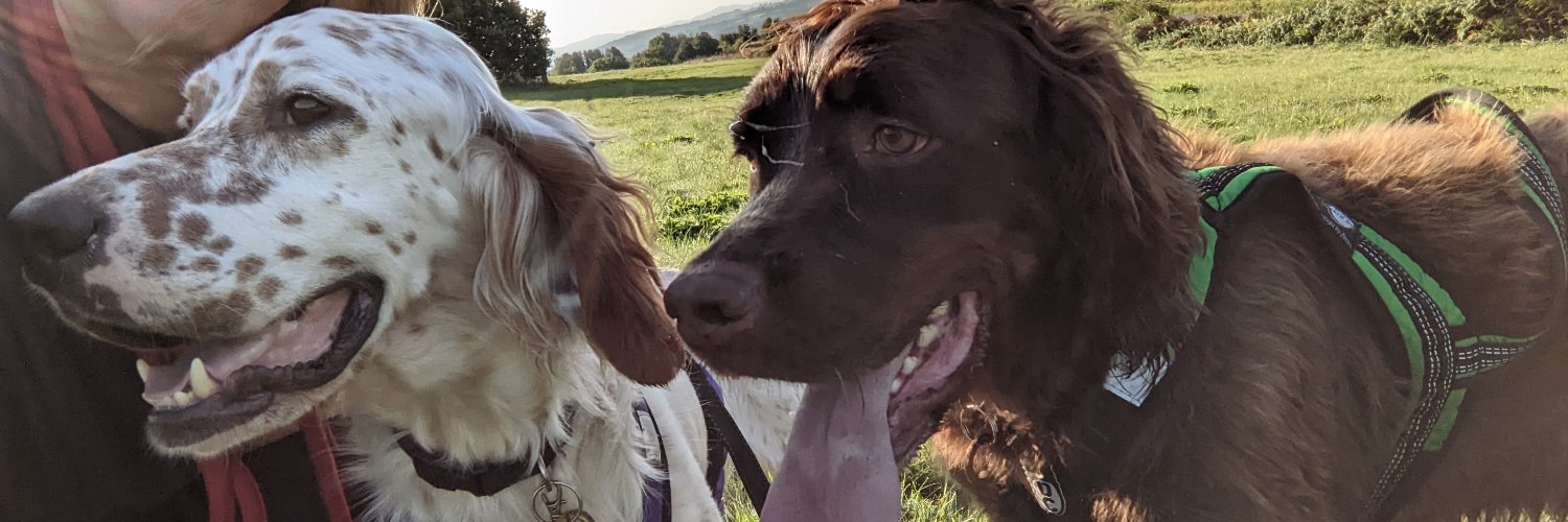 laura_copsey's profile banner image