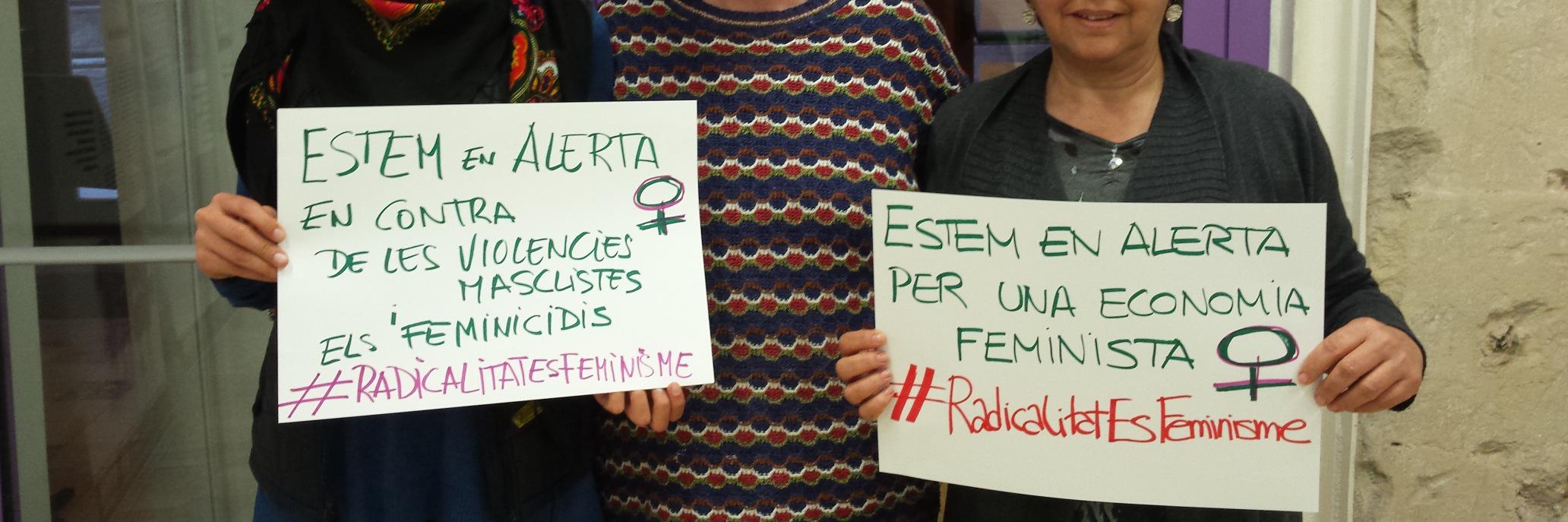 AlertaFeminista's profile banner image