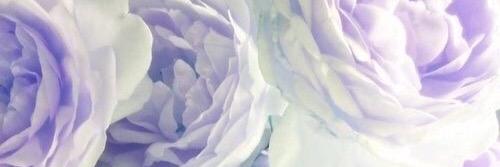 HideeRae's profile banner image