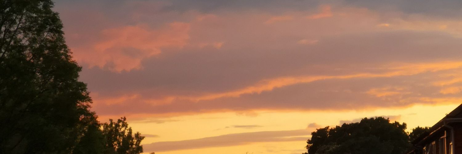 holgate_laura's profile banner image