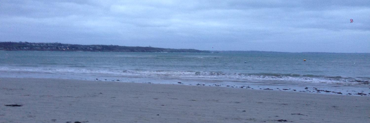 Manuel Gélin banner