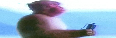 splashomacaco's profile banner image