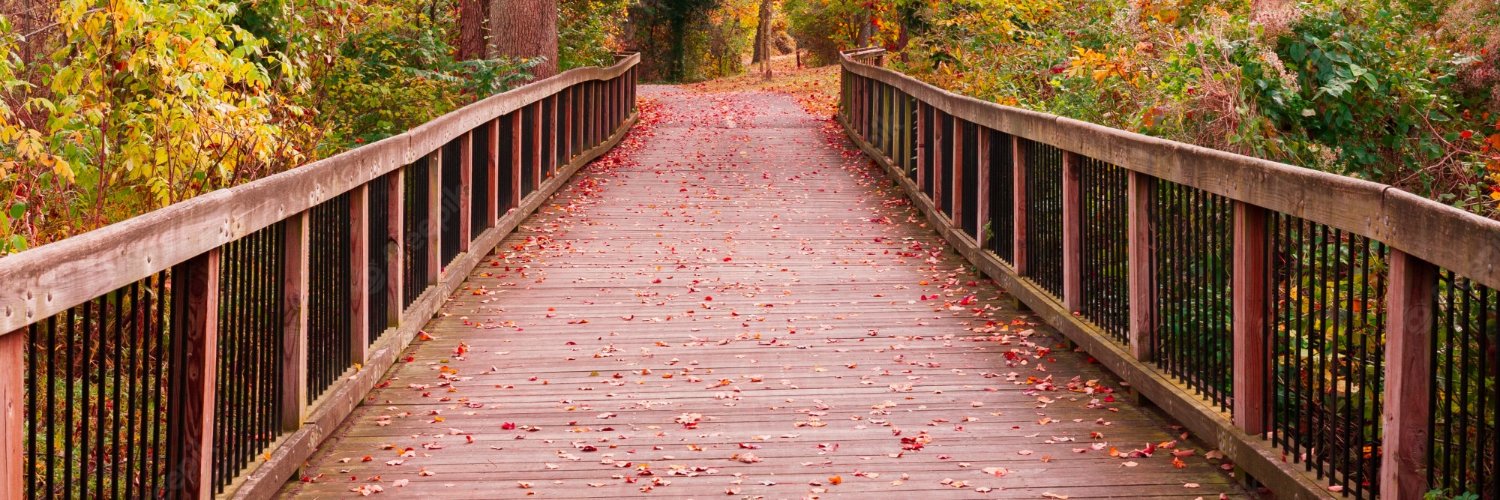 Møjõ (ง'̀-'́)ง banner