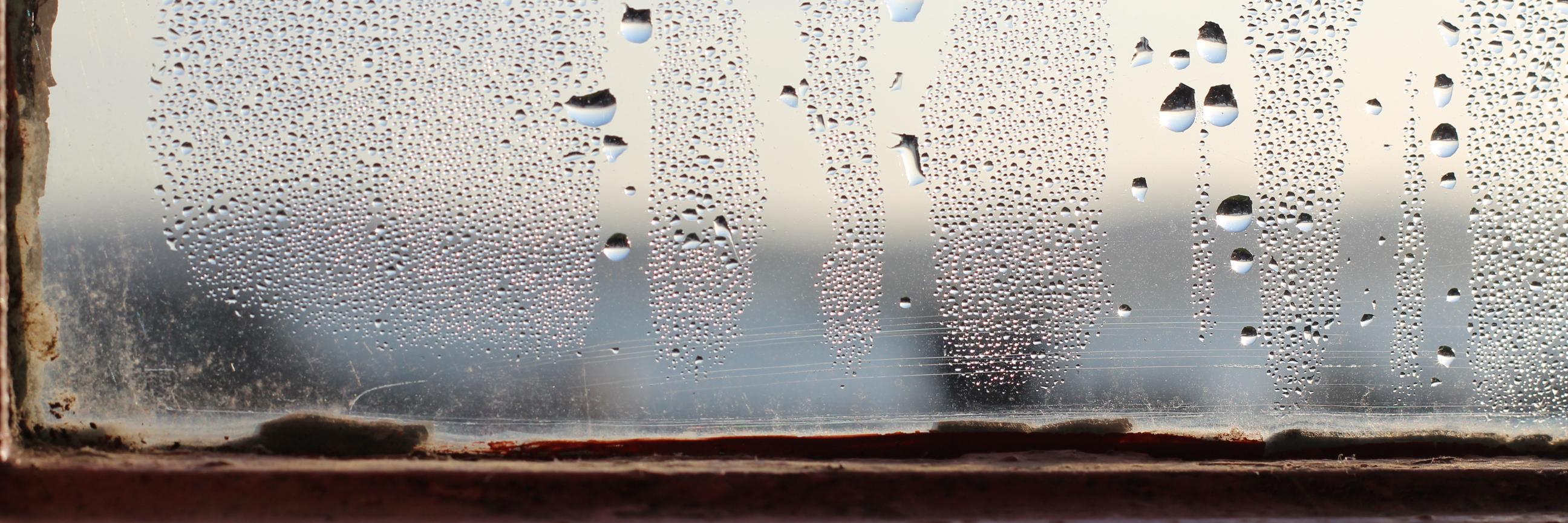 Emerald Maxwell banner