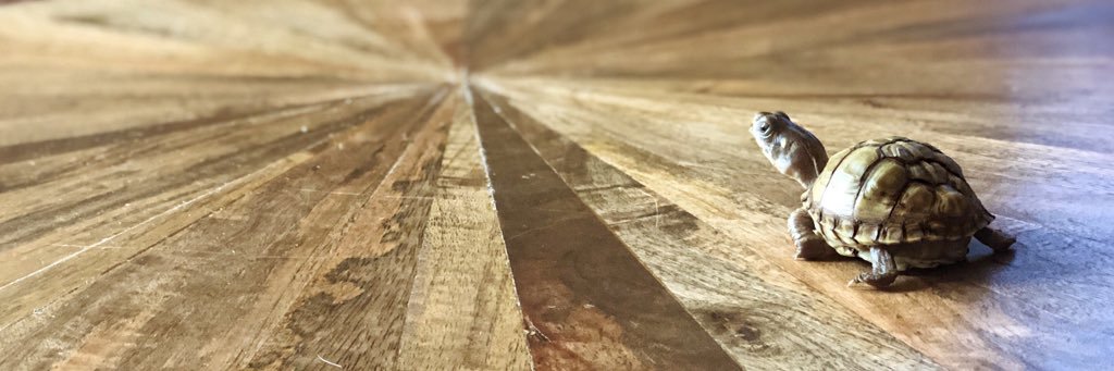 lilwaynetho's profile banner image