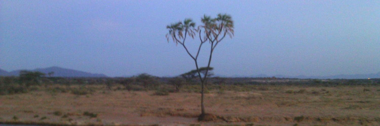 WomanofKenya's profile banner image