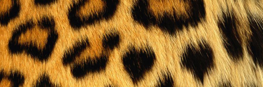 kezza_theun's profile banner image