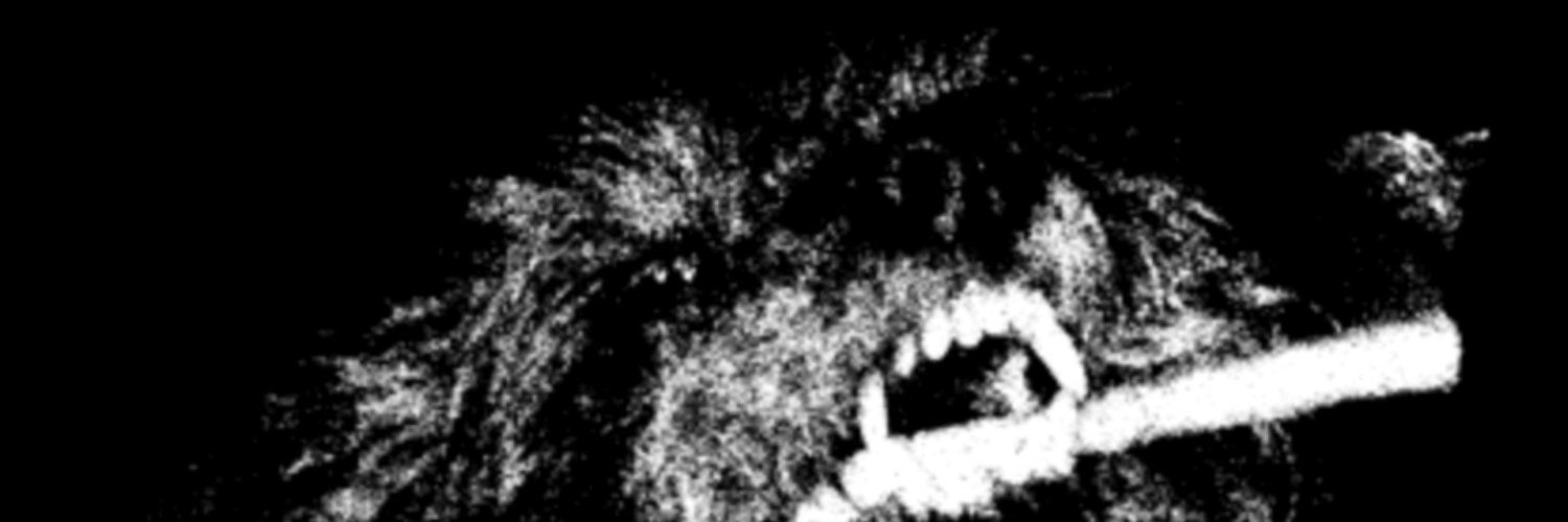 conorRONK's profile banner image