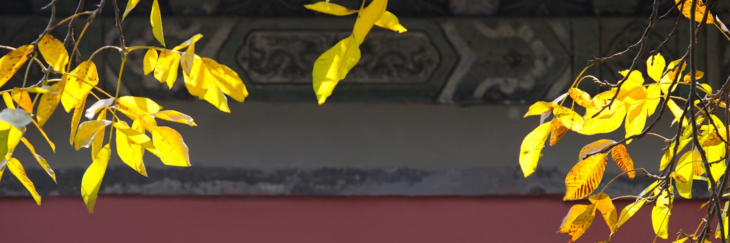 PuYanOII's profile banner image