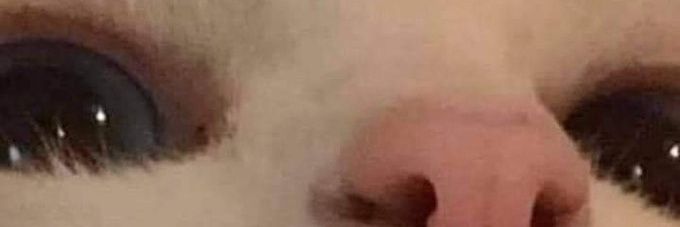Martuchi ~ banner