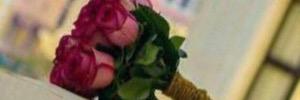 princesslaylax1's profile banner image