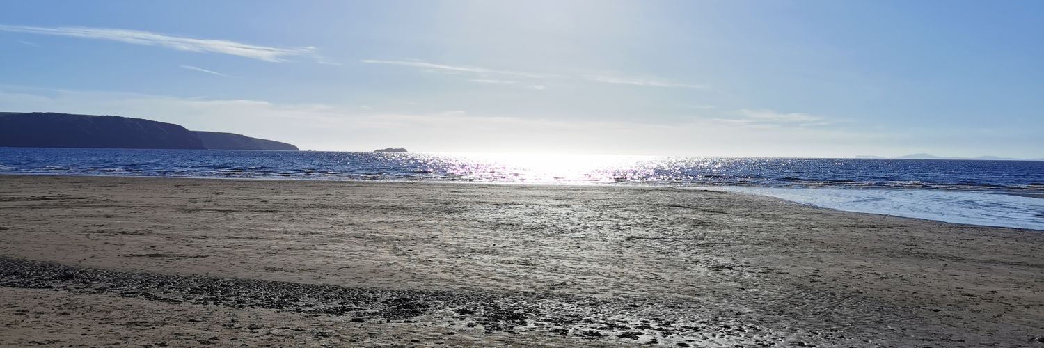 Gareth Thomas banner