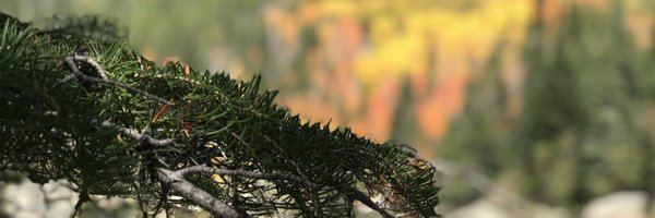 justin2ross Profile Banner