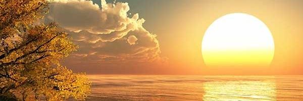 zy999ad's profile banner image
