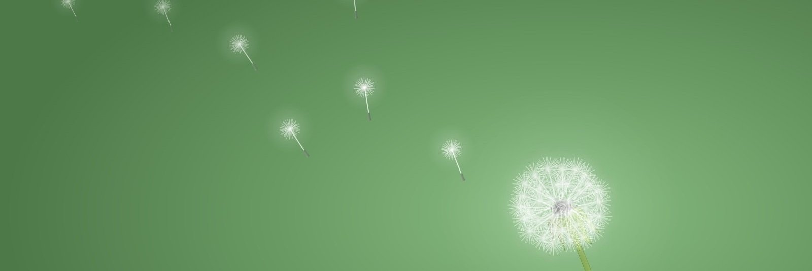 ganni4's profile banner image