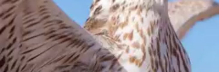 fahdfraj's profile banner image