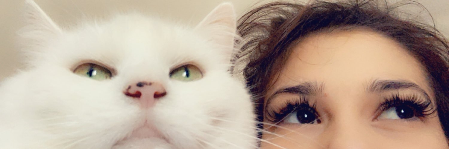 abbiecarpenter4's profile banner image