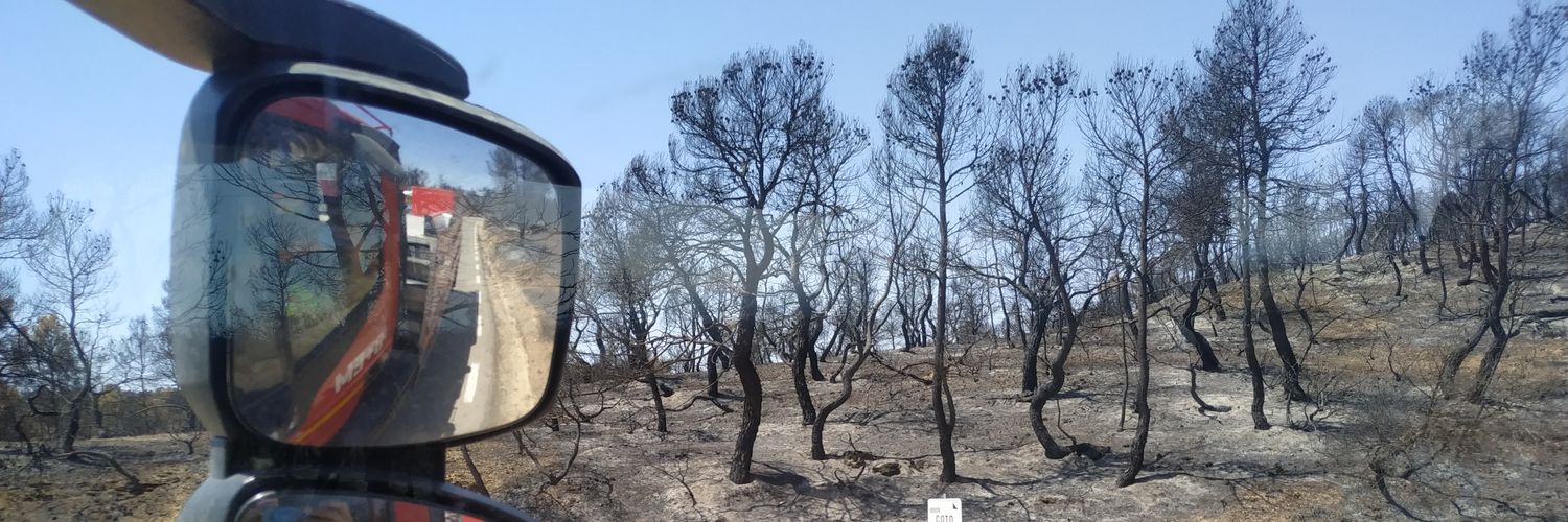 Rafa 🌲🔥🚒 banner