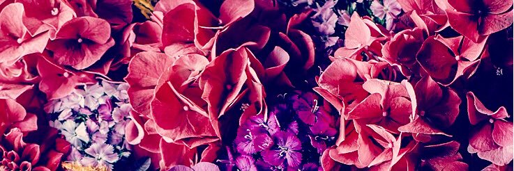 megantozer2's profile banner image