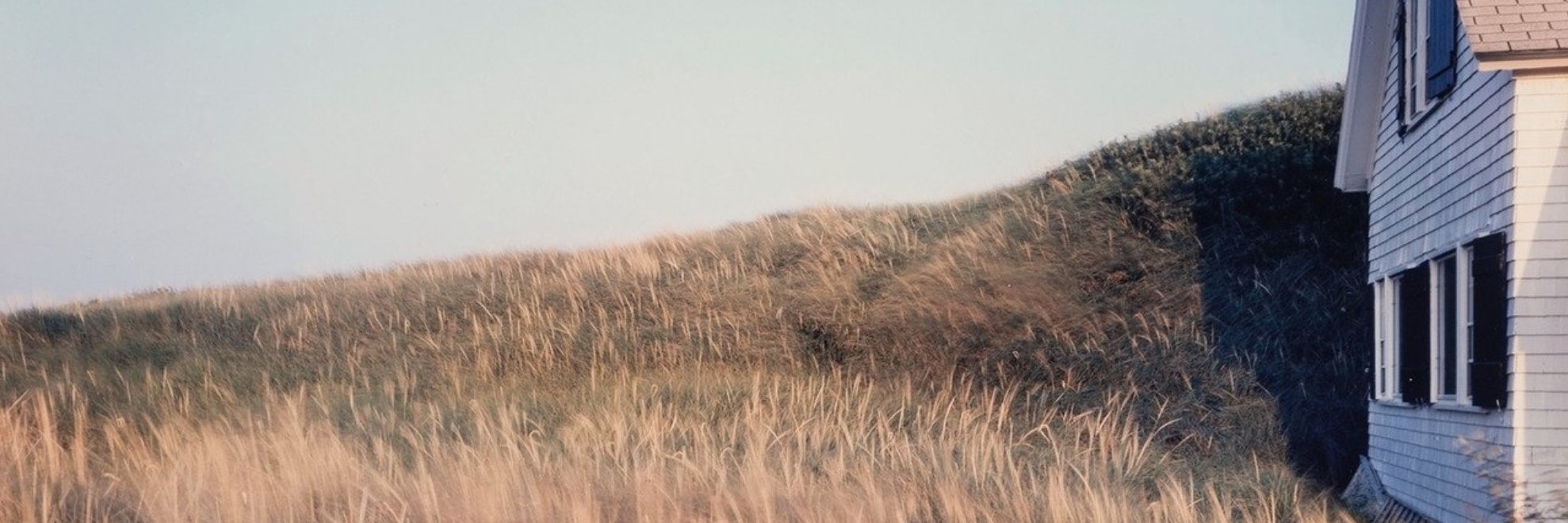 mcarmenbarr's profile banner image