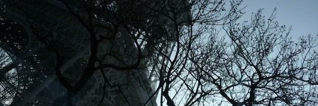 ALVIUMOMG's profile banner image