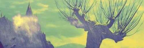 Selegato_Rayza's profile banner image