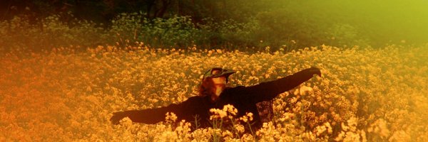 bluequidge Profile Banner