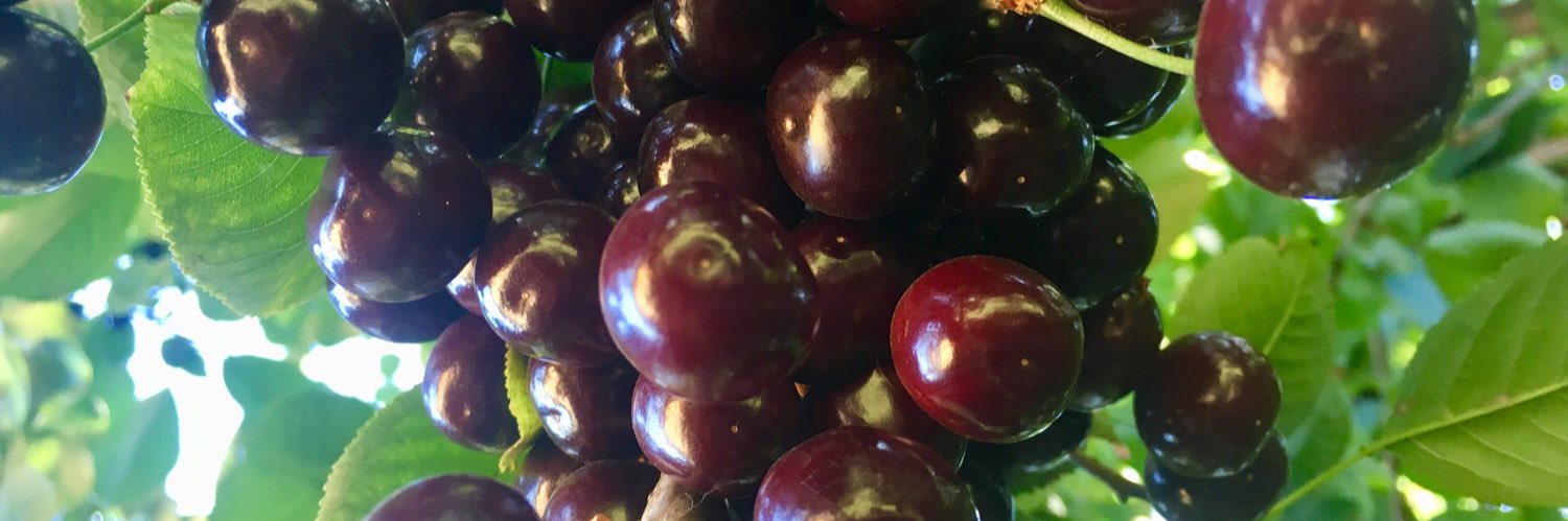 ChefJulieM's profile banner image
