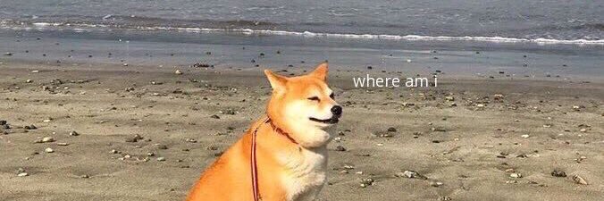 NomadicChiliDog's profile banner image