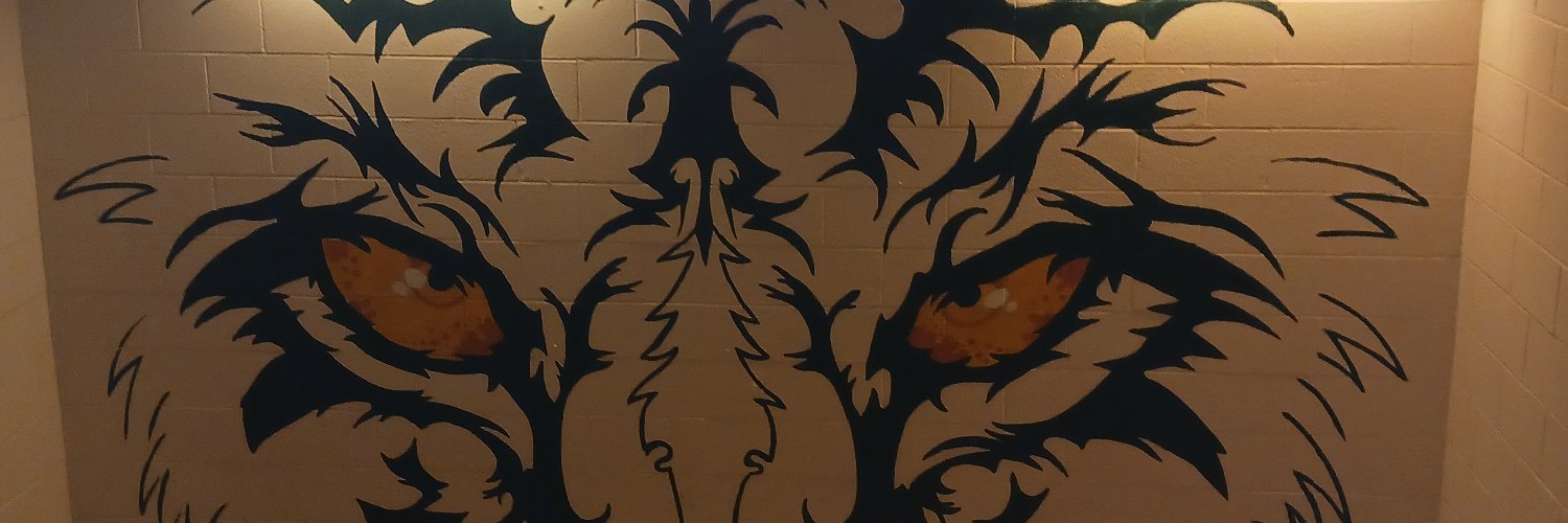 SalempNut's profile banner image