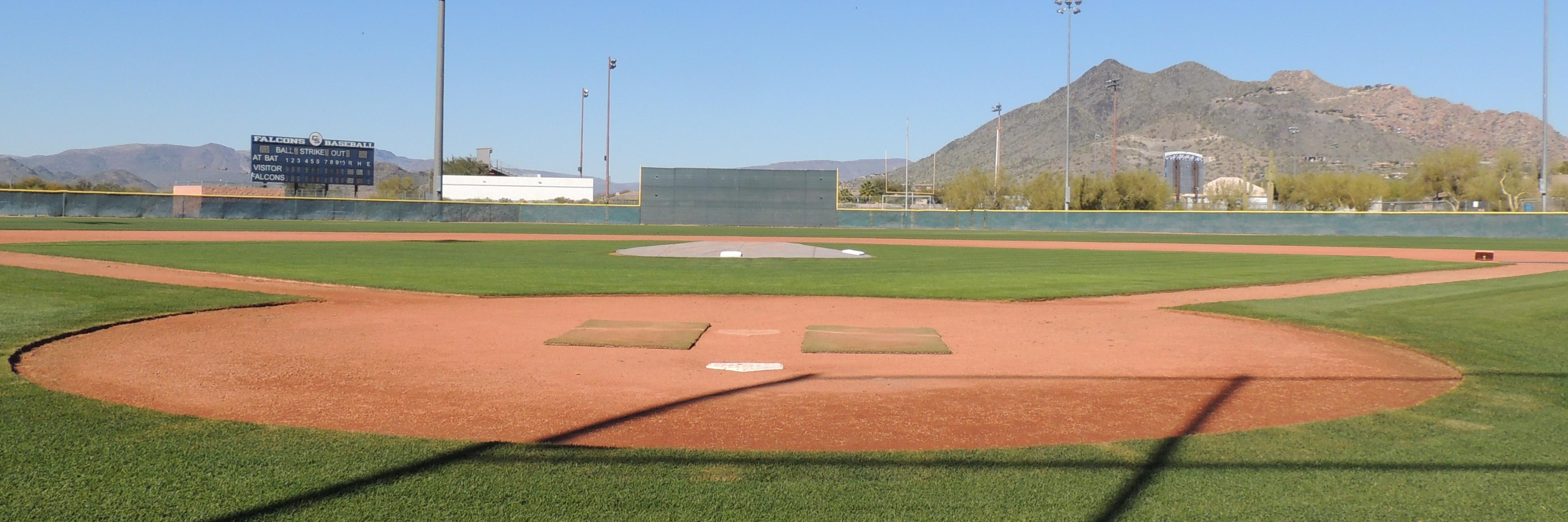 Falcon Baseball AZ banner