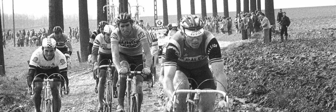 Lioncycling's profile banner image