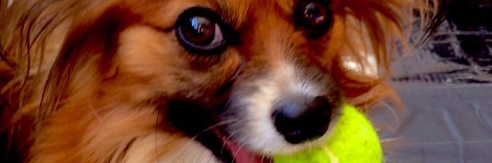 zenmonkeygrip's profile banner image