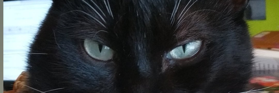 ciscocostafreda's profile banner image