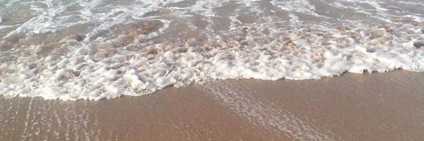 PiRDM's profile banner image