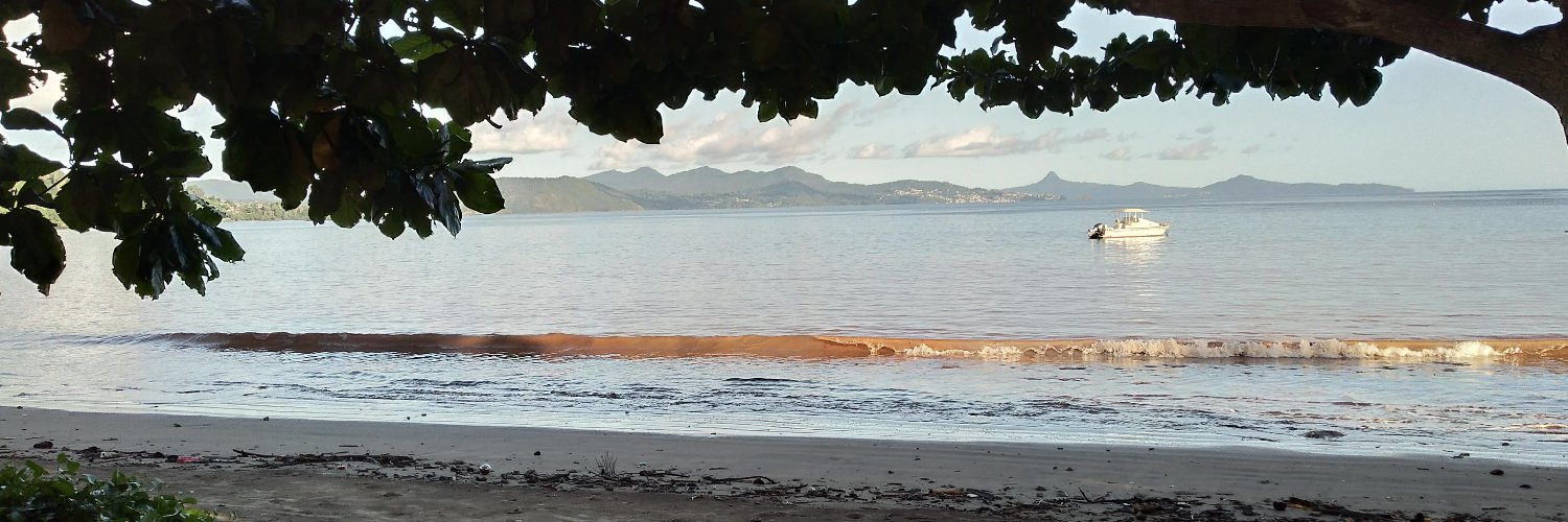 HUMMEL Véronique banner