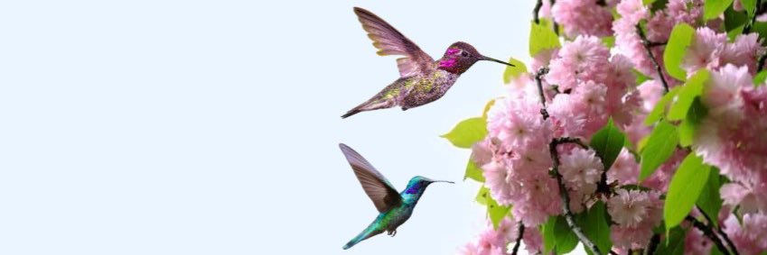 ema_gregg's profile banner image