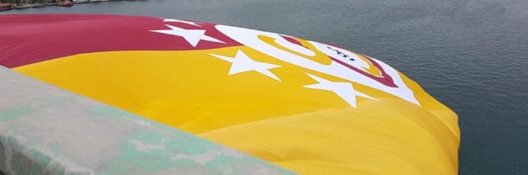 nesimayva's profile banner image