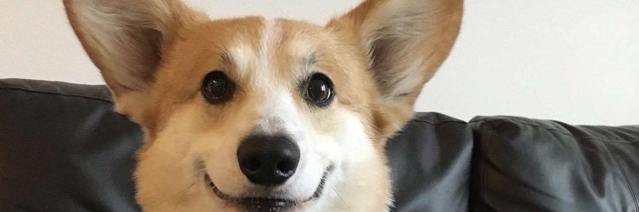 lauanylimaa's profile banner image
