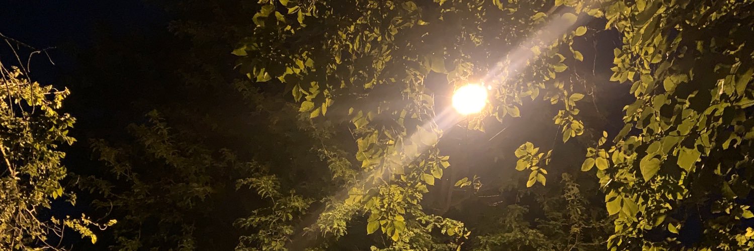 emilyhardesty's profile banner image
