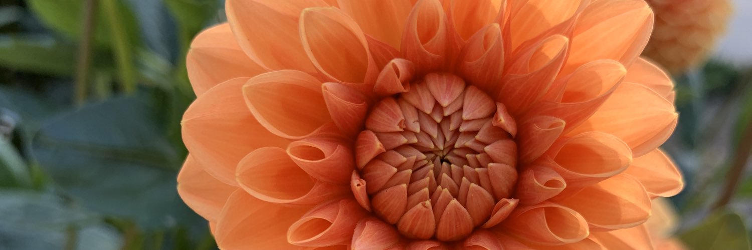BarbaraDeMena's profile banner image