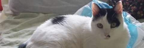 isimoni260671's profile banner image
