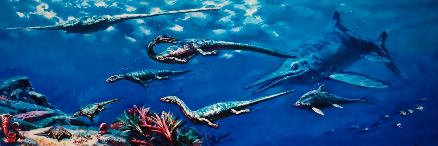 Andrzej Wolniewicz banner