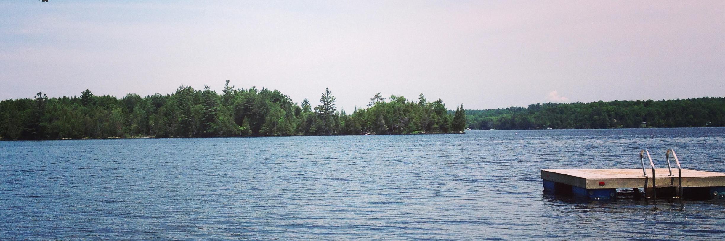 Hayley Morrison, PhD banner