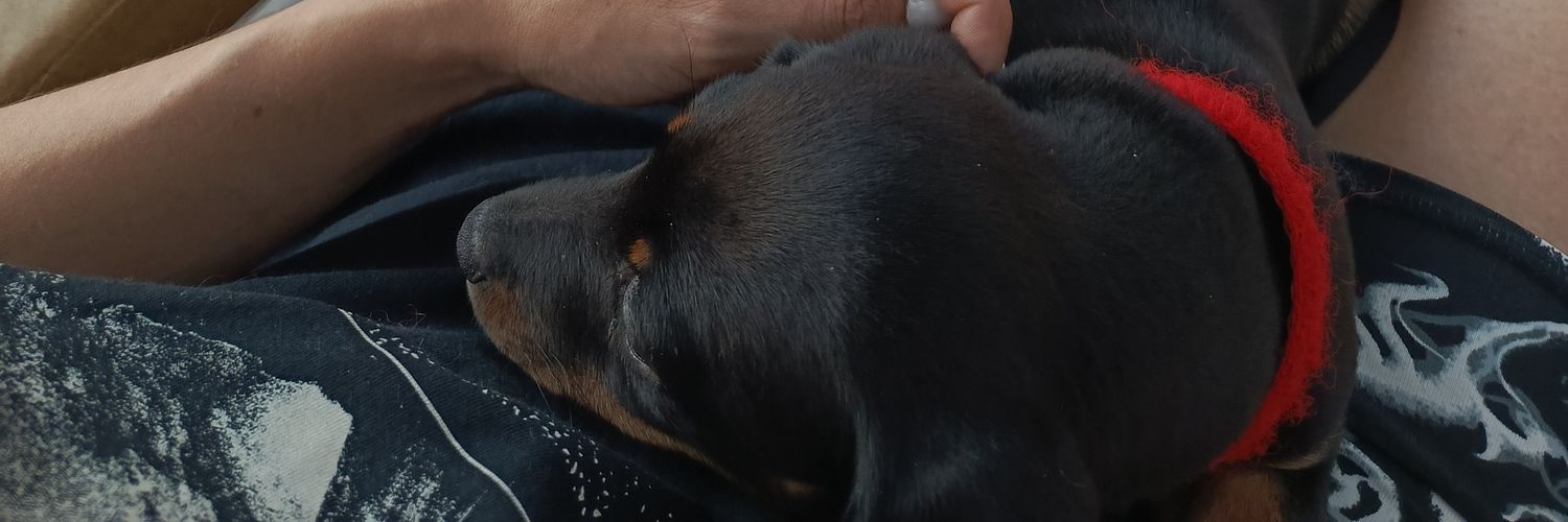 LuzMaria1203's profile banner image