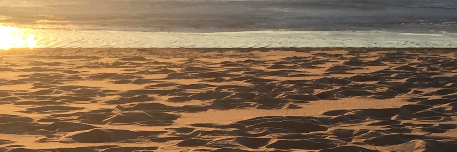 kortneyondayko's profile banner image